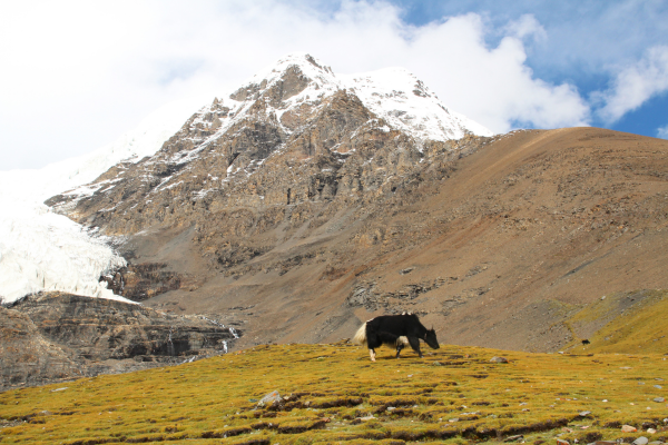 Circuit L'Âme Sacrée du Tibet en Privatif, Circuit Chine par Ôvoyages Circuit L'Âme Sacrée du Tibet en Privatif, Circuit Chine par Ôvoyages