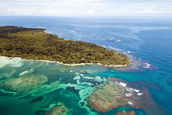 Panama - Circuit Orchidées du Panama et Écotourisme à Bocas del Toro