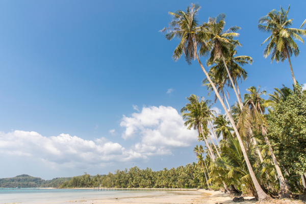 Combiné Thaïlande, De Bangkok aux Sables de Koh Kood 5* - 13