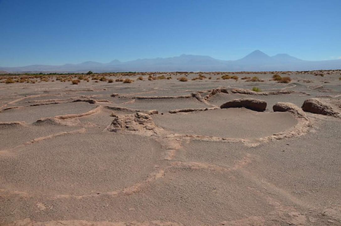 Road Trip Echappée Chilienne et Désert d'Atacama - 2