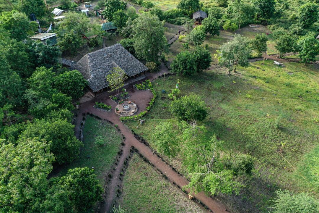 Safari Privatif - En Terre Sauvage - 20