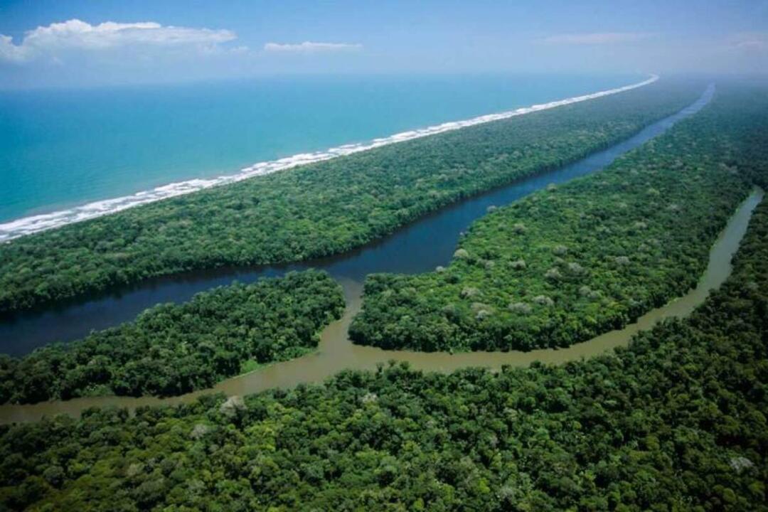 Costa Rica - Road Trip de Tortuguero aux Plages du Pacifique