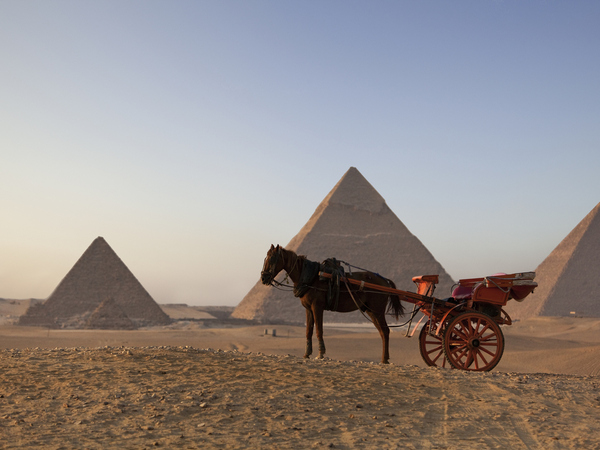 Papyrus et Pyramides d'Egypte