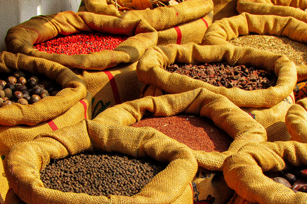 Circuit Comptoir De L'inde Du Sud