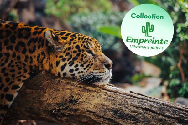 Circuit Aux Rythmes de la Bossa Nova : de Rio à l'Amazonie 3*