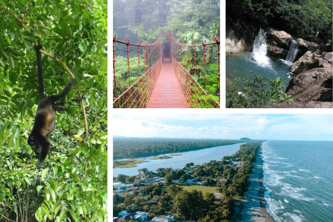 Circuit entre Jungles et Forêts du Costa Rica en 10 nuits (petits groupes)