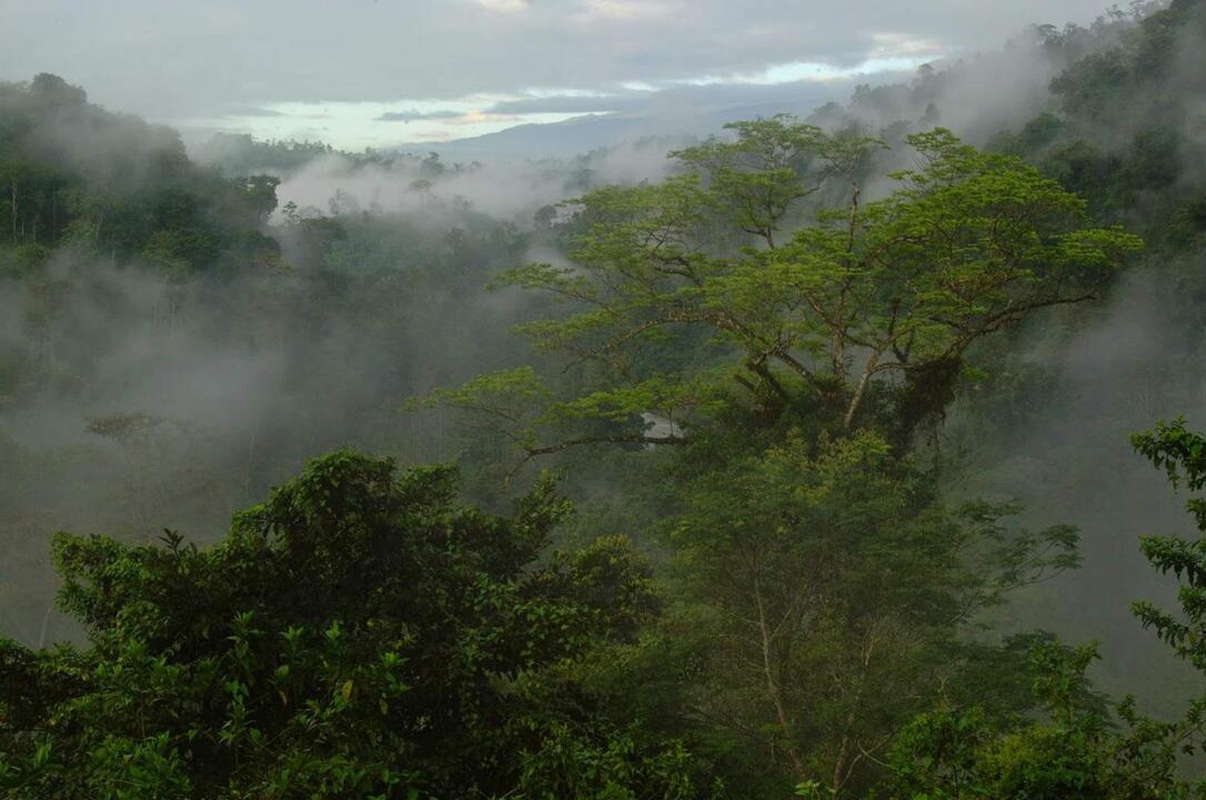 Costa Rica - Road Trip Nature & Farniente au Costa Rica