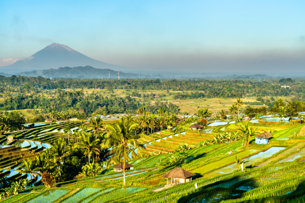 Bali - Indonésie - Circuit Secrets de Bali et Plage de Nusa Dua 5*