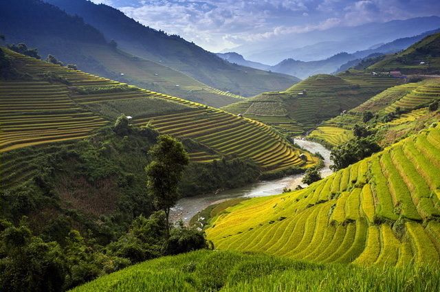 Vietnam Intimiste - 1