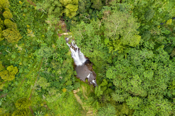 Combiné Jungle, Cascades et Sable de Bali - 11
