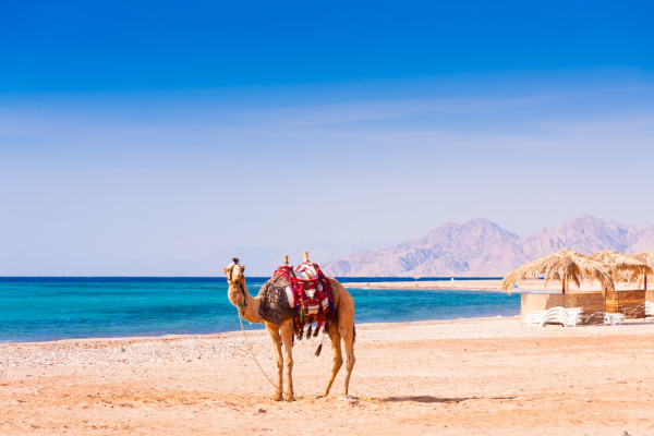 De la Légende des Pharaons à Hurghada - 27