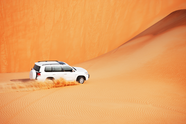 Circuit Emirats entre Dunes et Gratte-Ciels en Privatif - 23
