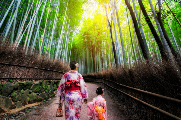 Circuit Japon en Famille... Mangas et Capitales en Liberté