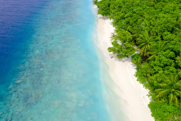 Circuit De la Route des Epices aux plages des Maldives