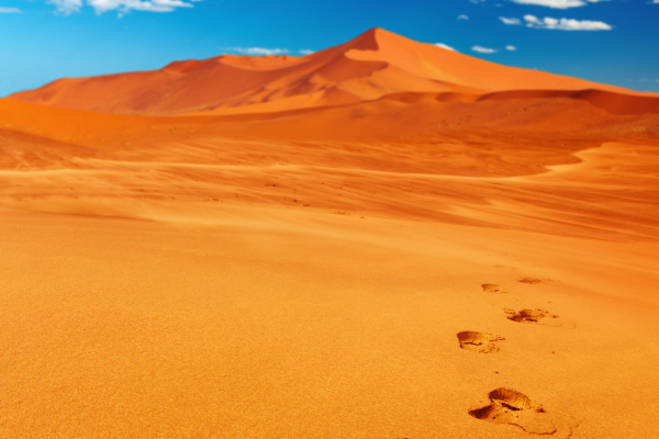 Circuit Du Désert du Namib aux Chutes Victoria