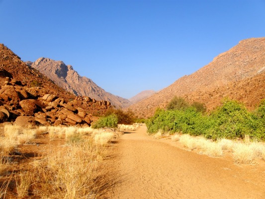 Namibie - Circuit Namibie : Les plus vieux déserts du Monde