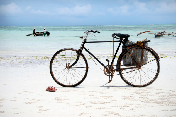 Circuit Zanzibar et Saadani, Rencontre entre Brousse et Plage - 3