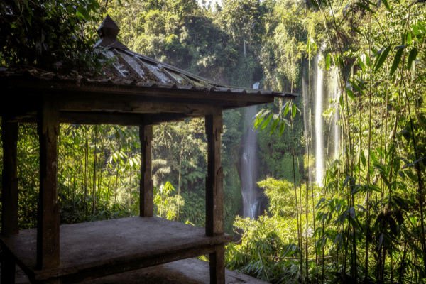 Combiné Jungle, Cascades et Sable de Bali - 16