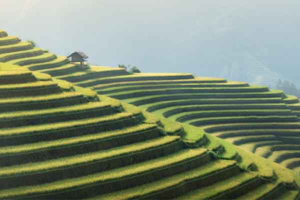 Circuit Aux origines du Vietnam : de Mu Cang Chai à Ta Giang Phin - 23