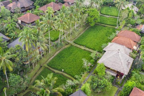 Bali - Indonésie - Combiné Jungle et Sable de Bali 4* Sup **Plage tout compris**