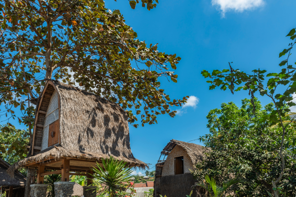 Hôtel Bali à Denpasar, circuit rizieres et rivages de bali a lombok