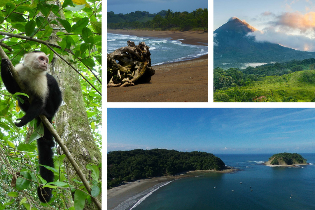 Circuit entre Jungles et Forêts du Costa Rica en 10 nuits avec extension Playa Samara