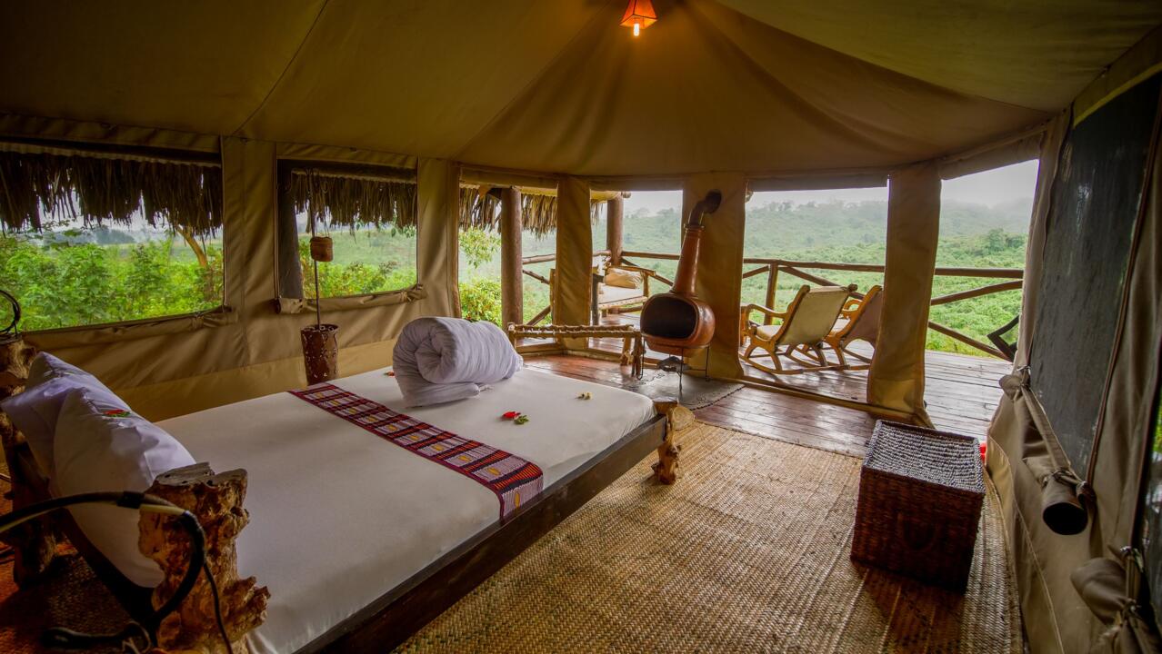 Safari Privatif - En Terre Sauvage - 37