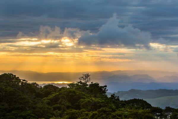 Costa Rica - Circuit Jungle et Forêt au Pays de l'Or Noir