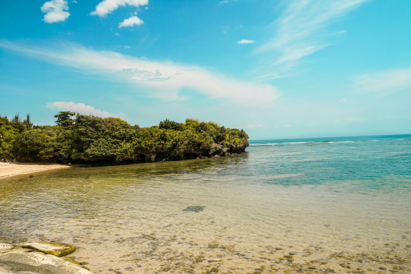 Combiné Bali, Jungle et Sable de Bali **PROMO** - Vols Flex 3*