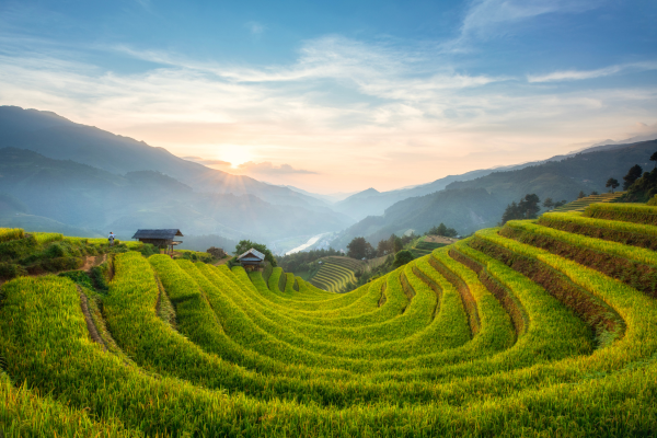 Circuit Aux origines du Vietnam : de Mu Cang Chai à Ta Giang Phin - 22