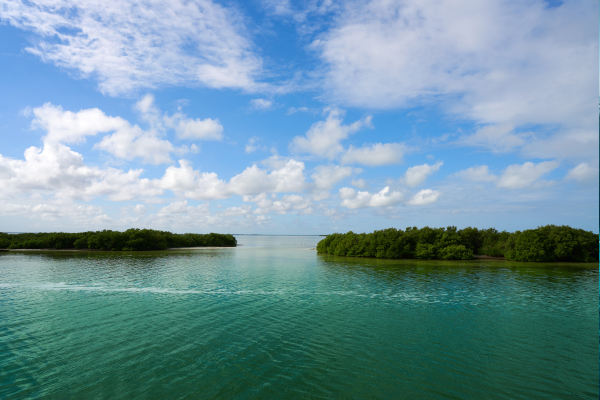 Circuit Les Mystères du Monde Maya et d'Holbox - 49