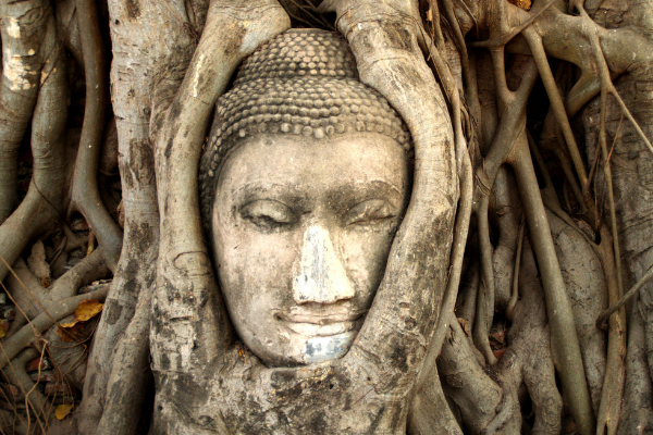 Thaïlande - Circuit des Temples Khmers Aux Femmes Girafes & Coral Ecotourisme 4*