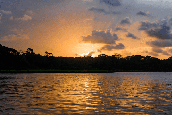 Costa Rica - Circuit Safari au Pays de l'Or Noir et Plage à Tamarindo Diria 4*