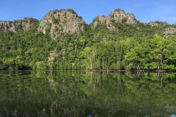 Malaisie en Liberté, Des Terres Sauvages de Taman Negara à lîle de Langkawi 4*