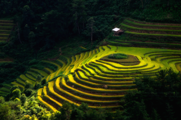 Circuit Aux origines du Vietnam : de Mu Cang Chai à Ta Giang Phin - 26