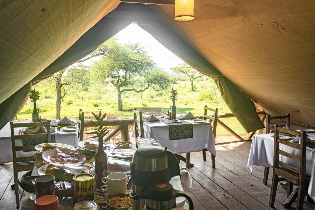 Safari Privatif - Aventure Tanzanienne - 29