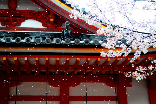 Ohayo Nippon, Du Mont Fuji à l'île des Torii - 29