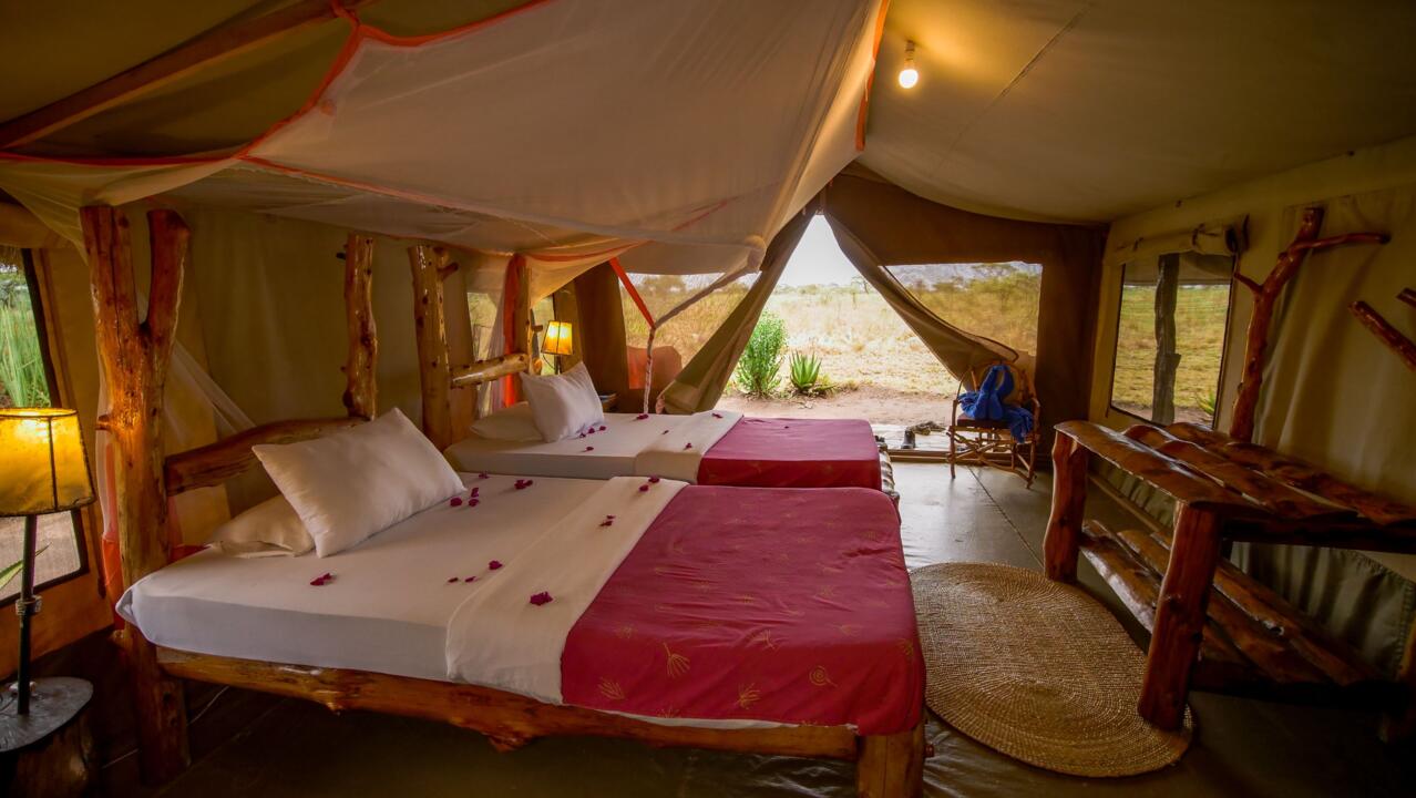 Safari Privatif - En Terre Sauvage - 34
