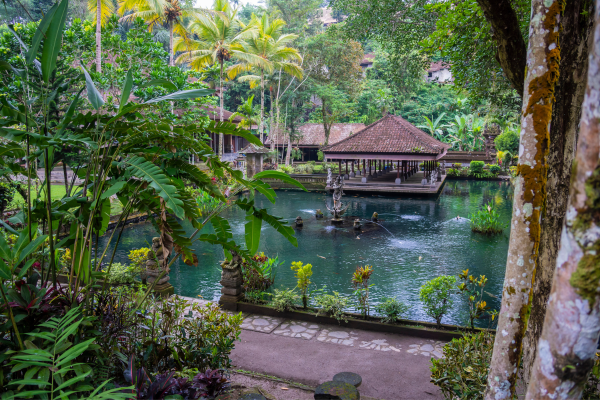 FLEX Circuit De la Jungle de Sumatra aux Temples de Bali - 26
