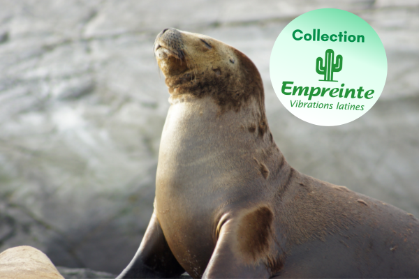 Circuit Contrastes de la Terre de Feu et du Nord Argentin