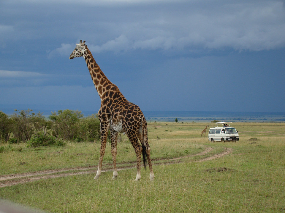 Kenya - Safari Féeries d'Afrique - Circuit Privatif
