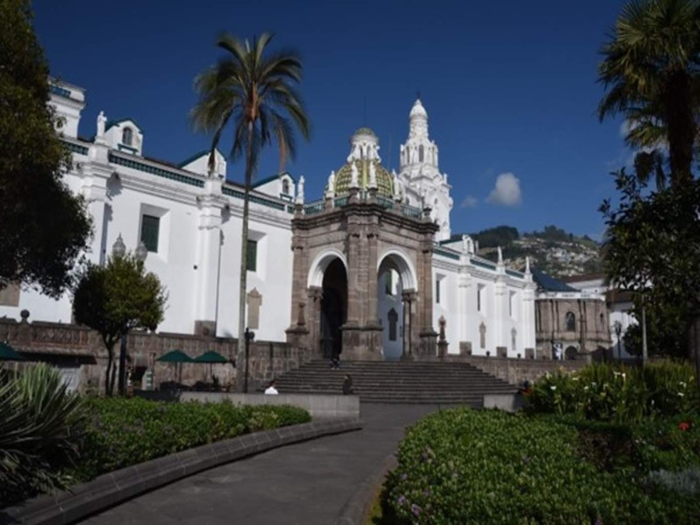 Circuit Évasion en Equateur (Petit groupe) - Extension Amazonie proche & Galapagos - 16