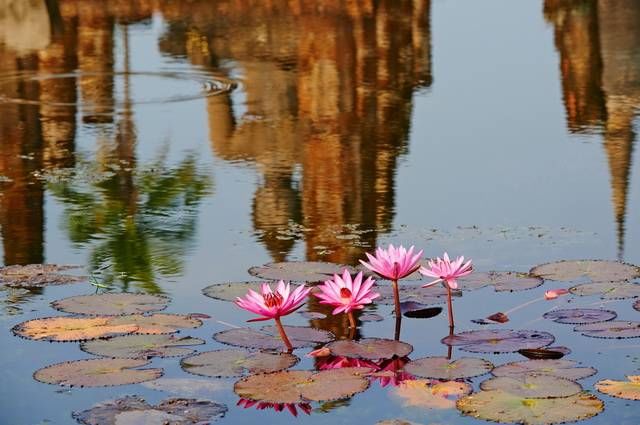 THAILANDE ESSENTIELLE EXT PHUKET 3*