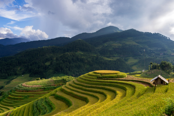 Circuit Aux origines du Vietnam : de Mu Cang Chai à Ta Giang Phin - 25