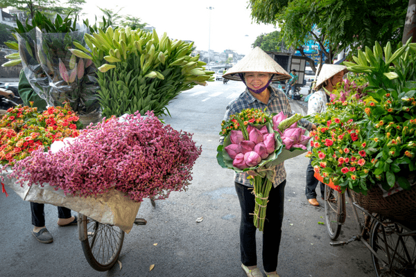 Vietnam - Circuit Les Mystères du Nord Vietnam : Authentique et Eco-responsable