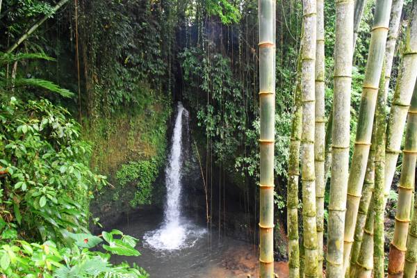 Combiné Jungle, Cascades et Sable de Bali - 7
