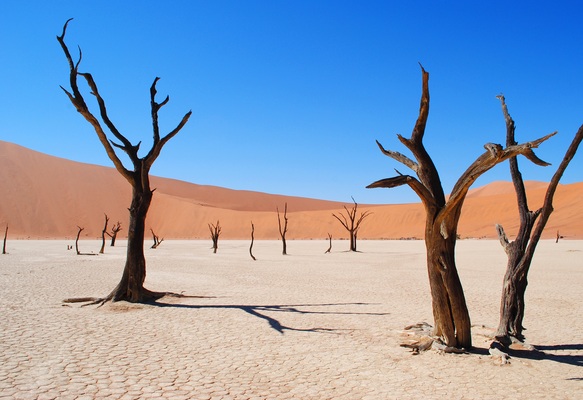 Circuit Namibie : Les plus vieux déserts du Monde