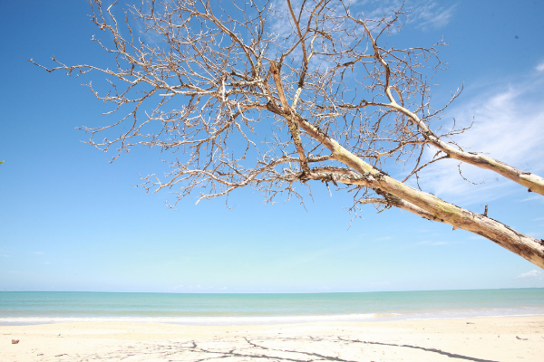 Combiné Bangkok, Khao Lak et Phuket 5* - 16