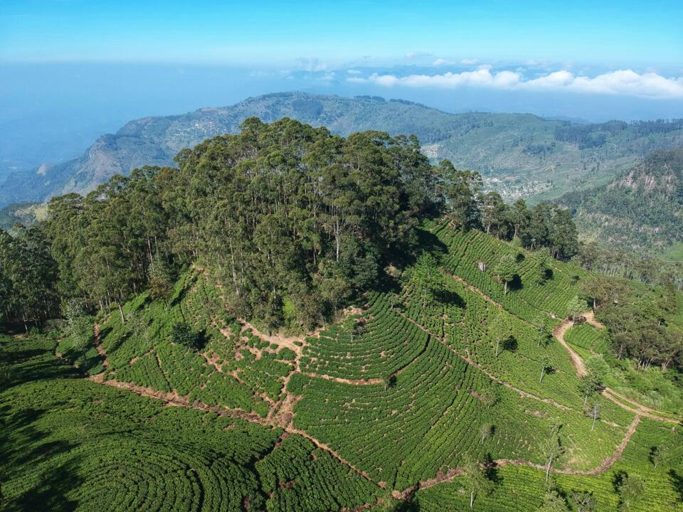 Sri Lanka - Circuit Privatif - Beautés Cachées du Sri Lanka