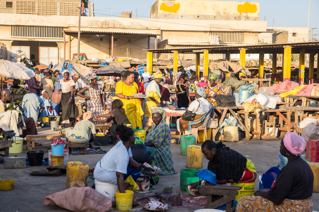 Sénégal - Circuit Privatif Evasion au Sénégal entre Culture et Plage